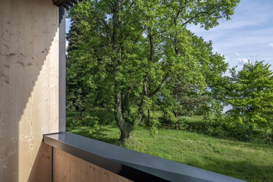 Balkon eines Waldzimmers im Seegut Zeppelin mit weitem Blick auf Bäume, Wiese und Himmel