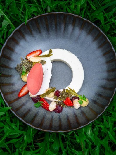 Strawberry dessert with sorbet and crumble on a dark plate at Restaurant Pinus, Seegut Zeppelin