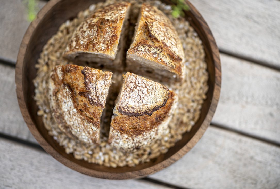 Selbstgemachtes Brot aus Nussbaumschale – Seegut Zeppelin