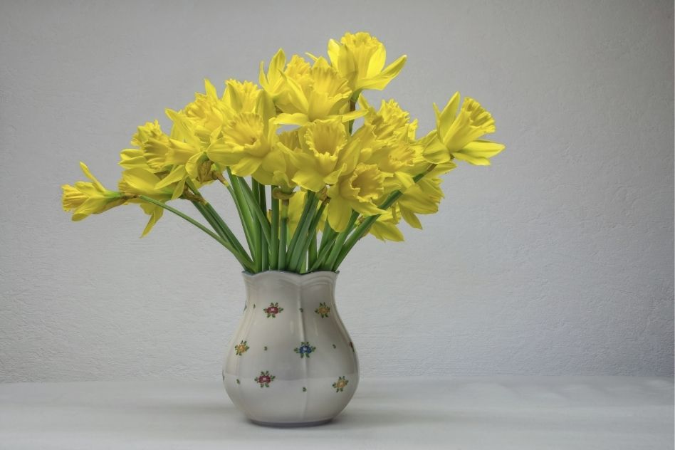 Vase mit gelben Narzissen als österliche Dekoration im Seegut Zeppelin